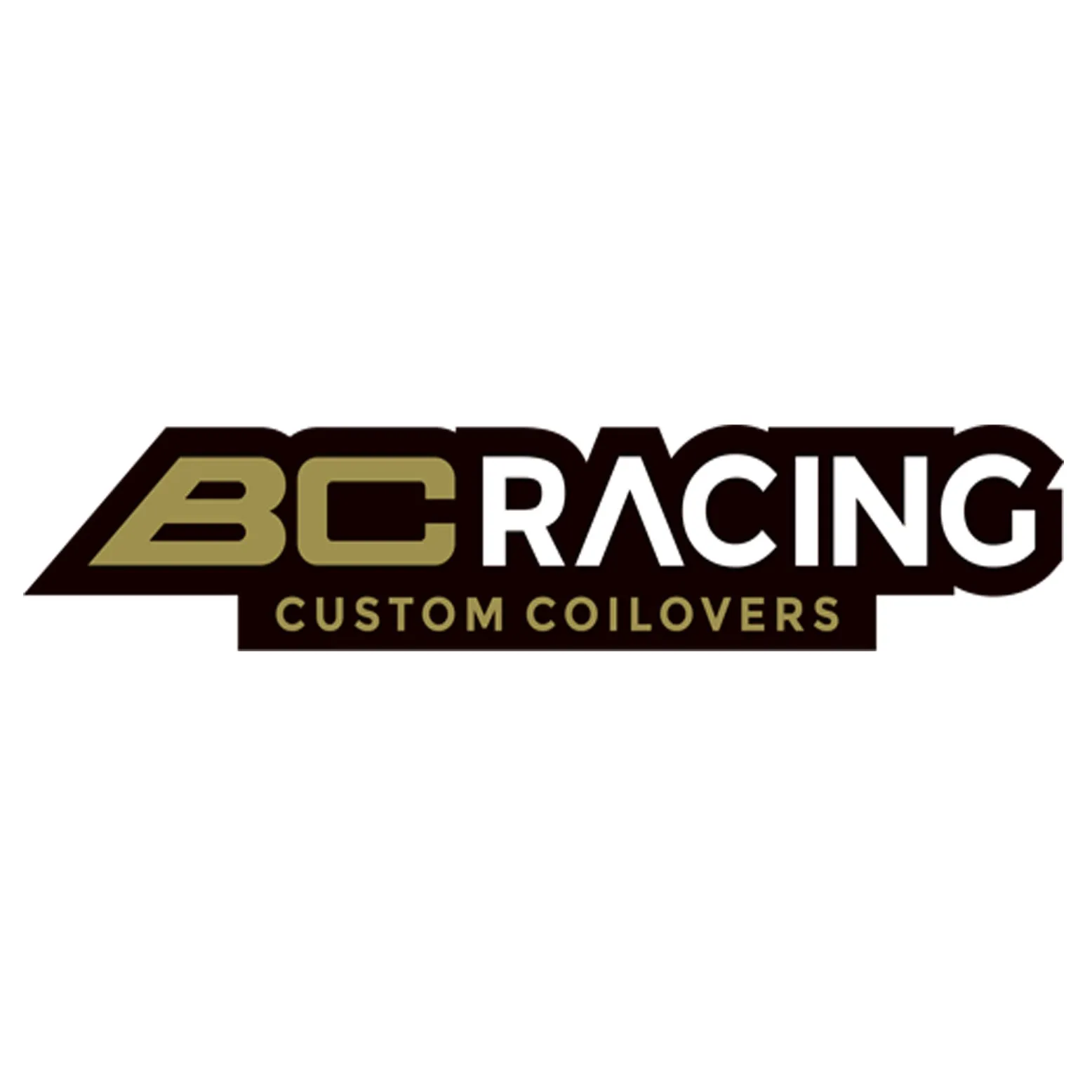 BC Racing DS Coilovers for 14-15 Honda Civic (SI ONLY) (BCR.A-97-DS)